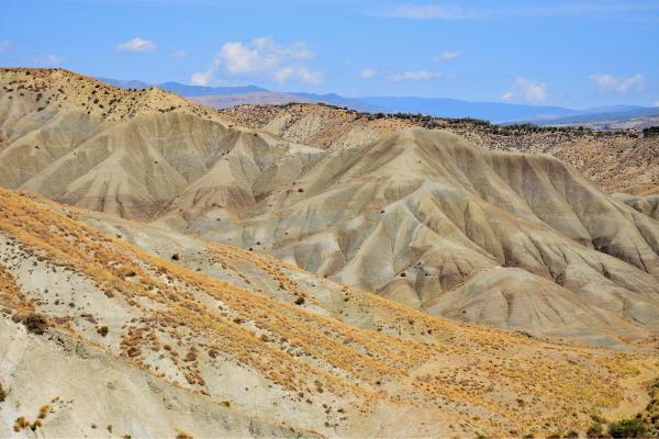 What Is a Gully in Geography? - How are gullies formed?