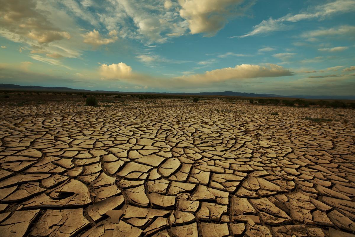 What Is Water Stress?