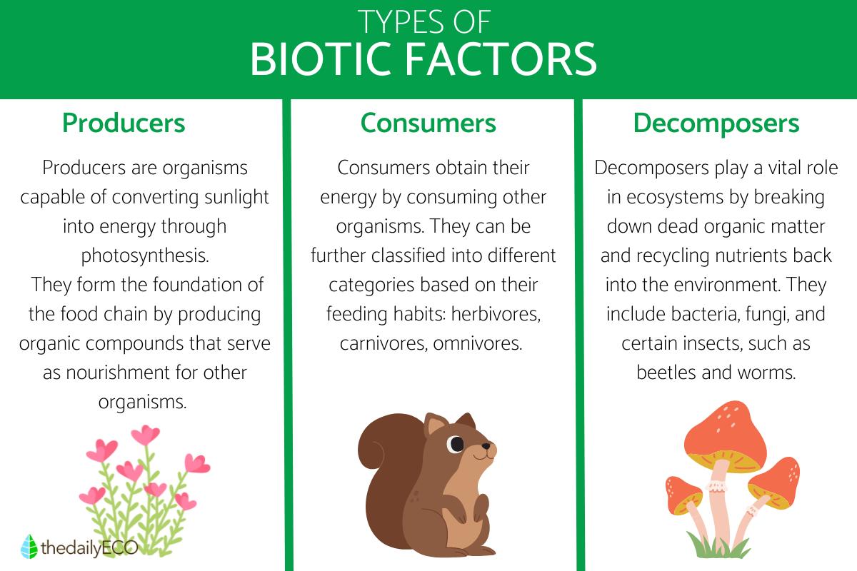 What Are Biotic Factors?