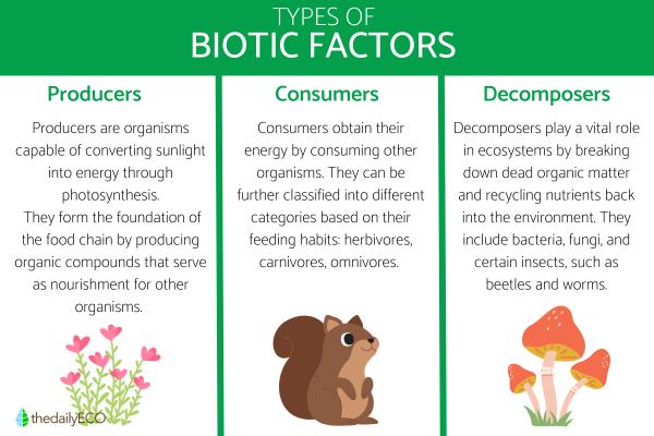 What Are Biotic Factors?