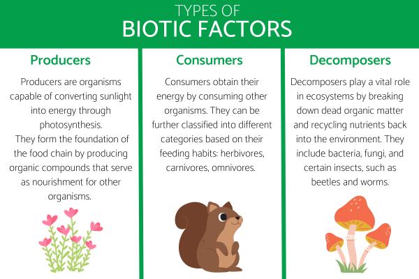 Biotic Factors Definition Characteristics Classification And Examples