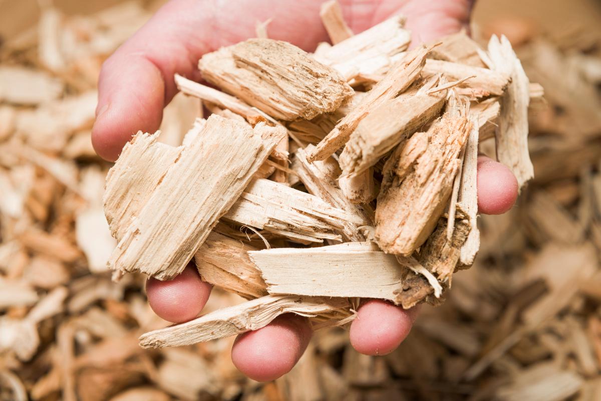 Why Do We Need to Save Wood?