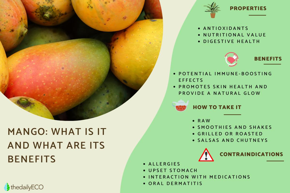 What Is Mango? Properties, Benefits and Contraindications