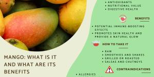 What Is Mango? Properties, Benefits and Contraindications