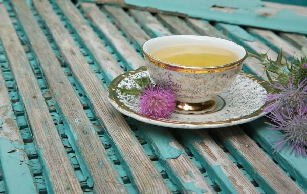 Benefits of Milk Thistle - Properties, Uses and Contraindications - How to take milk thistle