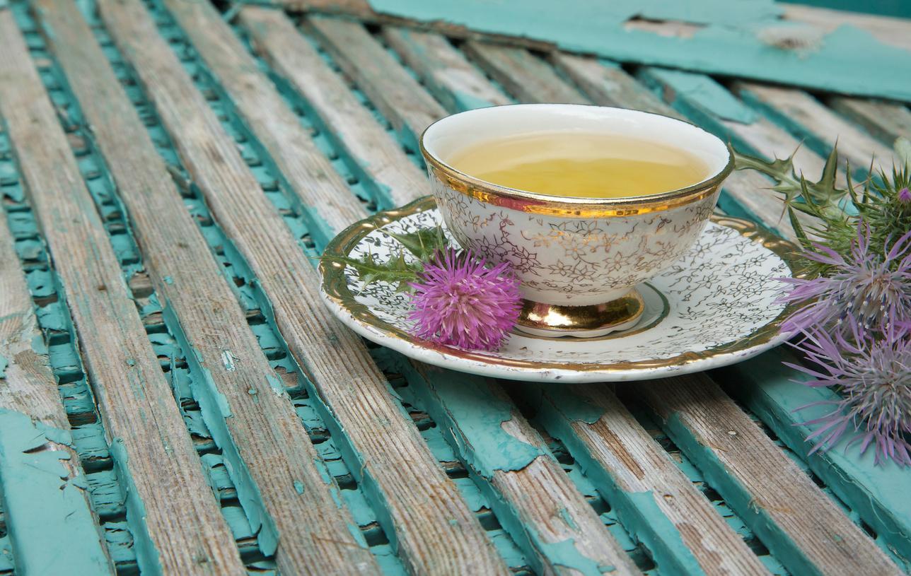 Benefits of Milk Thistle Properties, Uses, Main Characteristics and Side Effects