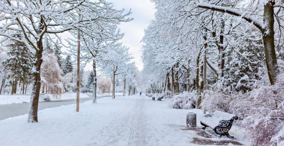 What Is a Cold Wave Weather Phenomenon?