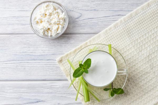 What Are the Types of Fermentation? - Lactic fermentation