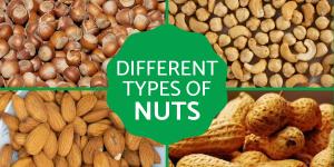 Diverse Types of Nuts and Their Nutritional Benefits