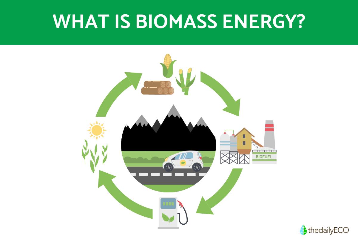 Biomass Energy - Pros, Cons & Considerations