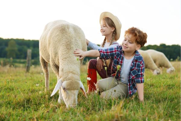 What is Speciesism? - Meaning and Examples - Arguments supporting speciesism