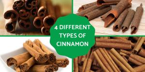 Different Types of Cinnamon