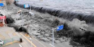 What Are Tsunamis and How Do They Form?