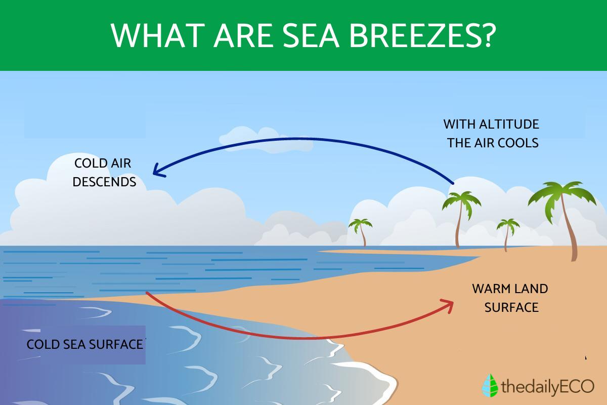 Sea Breezes - What They Are and Why Do They Occur?
