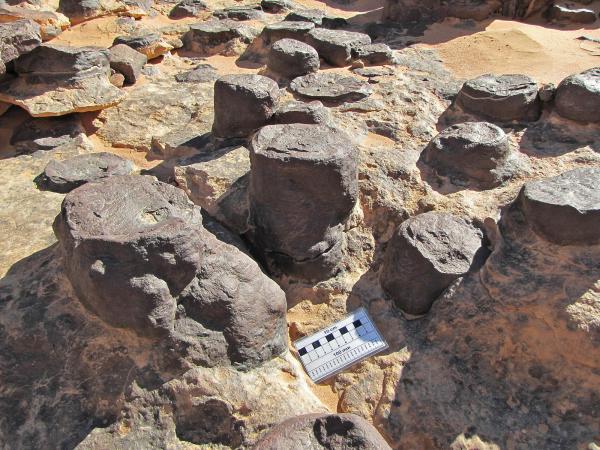 What Are Stromatolites? - Characteristics of stromatolites