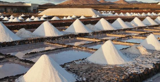 What Are Salt Flats and How Are They Formed?