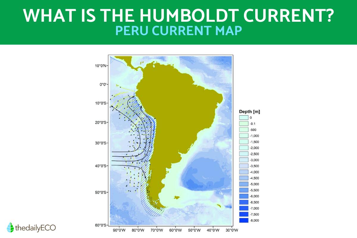 What Is the Humboldt Current?