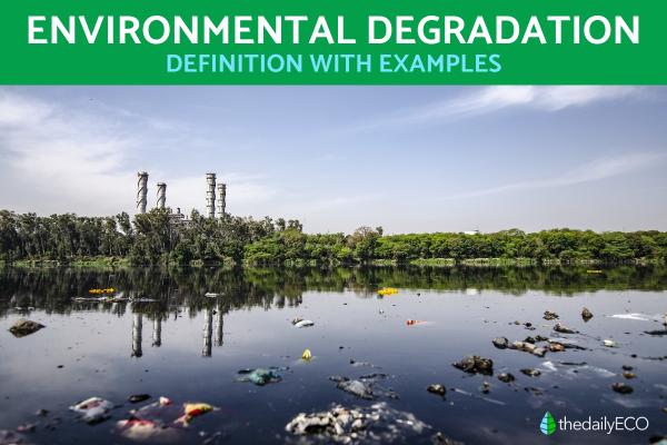 Environmental Degradation Definition With Examples