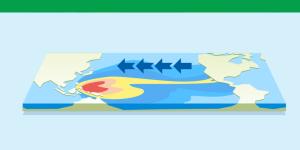 La Niña Phenomenon - What It Is, Causes and Consequences