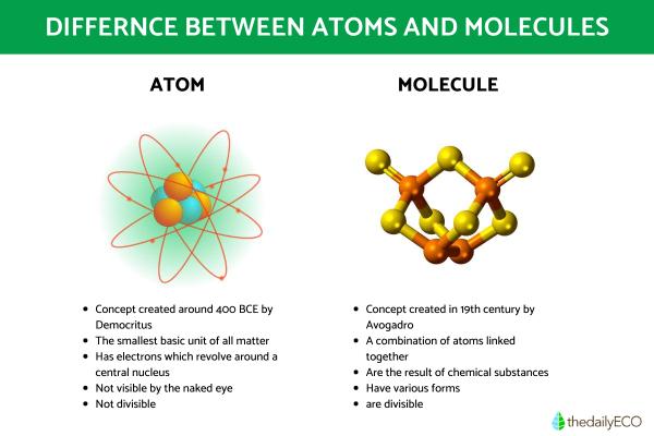 The Differences Between Atoms and Molecules