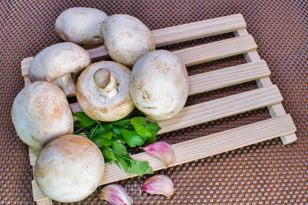 What Are Edible Mushrooms and How to Recognize Them - Button mushroom