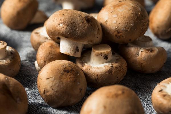 What Are Edible Mushrooms and How to Recognize Them - Portobello