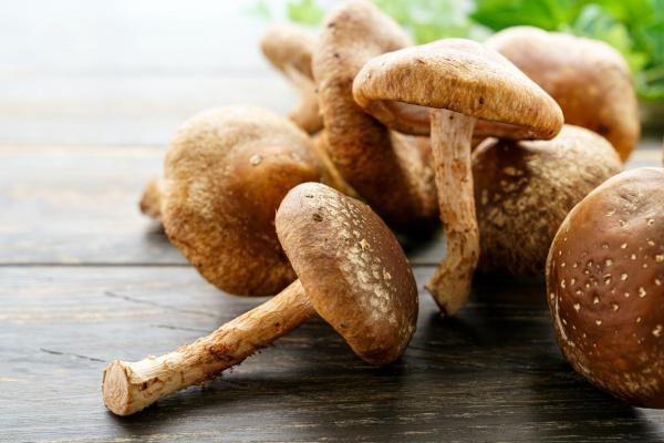 What Are Edible Mushrooms and How to Recognize Them - Shiitake