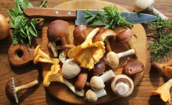 What Are Edible Mushrooms and How to Recognize Them