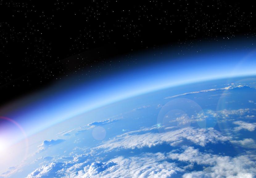 Importance of air for living organisms what would happen if air vanished 