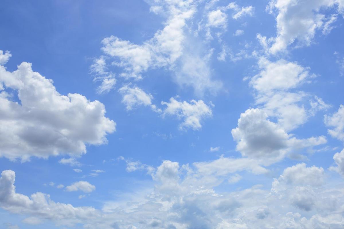 Importance Of Air For Living Organisms What Would Happen If Air Vanished