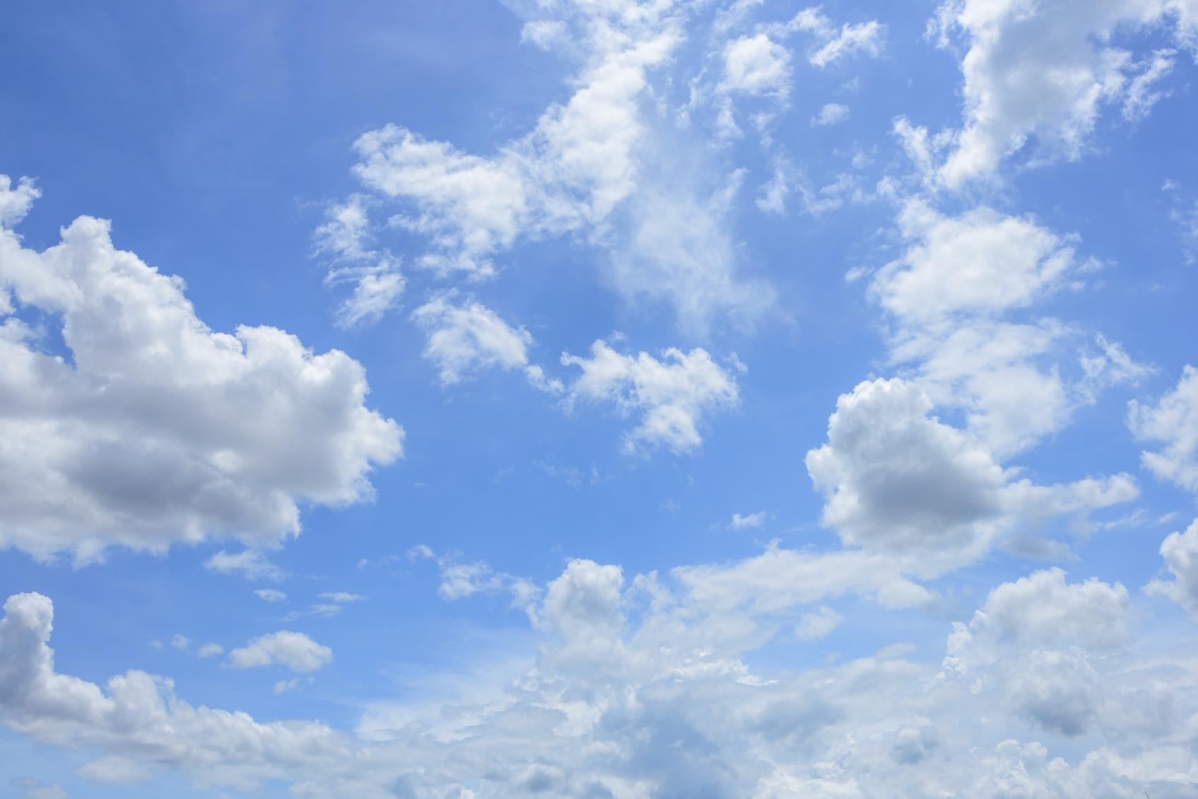 Importance of Air for Living Organisms What Would Happen if Air Vanished?