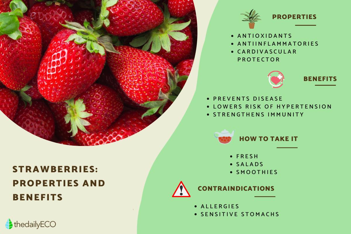 Strawberry Properties, Benefits and Contraindications
