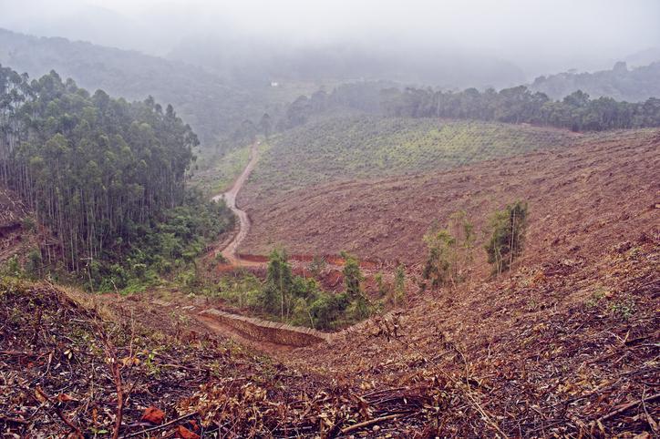 Different Types Of Erosion In Geography Land Erosion Types With Photos Different Types Of Erosion In Geography Land Erosion Types With Photos