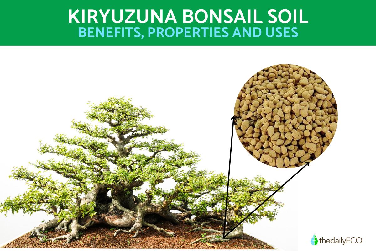 What is Kiryuzuna Bonsai Soil? - Kiryu Properties, Benefits and Uses