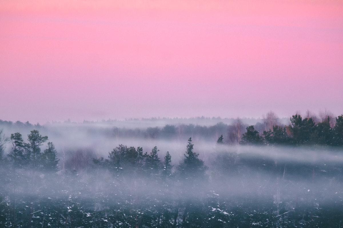 Different Types of Fog
