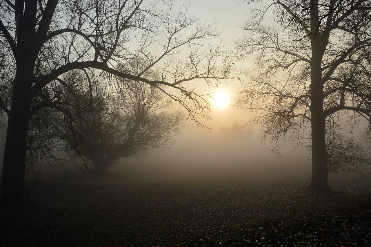 Different Types of Fog - Fog Formation Types