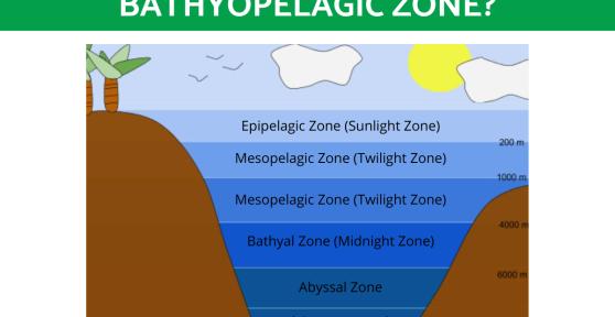 What Is the Bathypelagic (Bathyal) Zone?