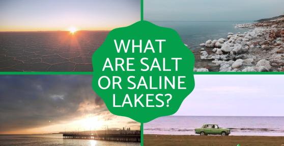 Are There Salt Water Lakes?