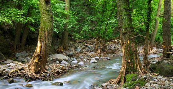 What Is a Stream in Geography?