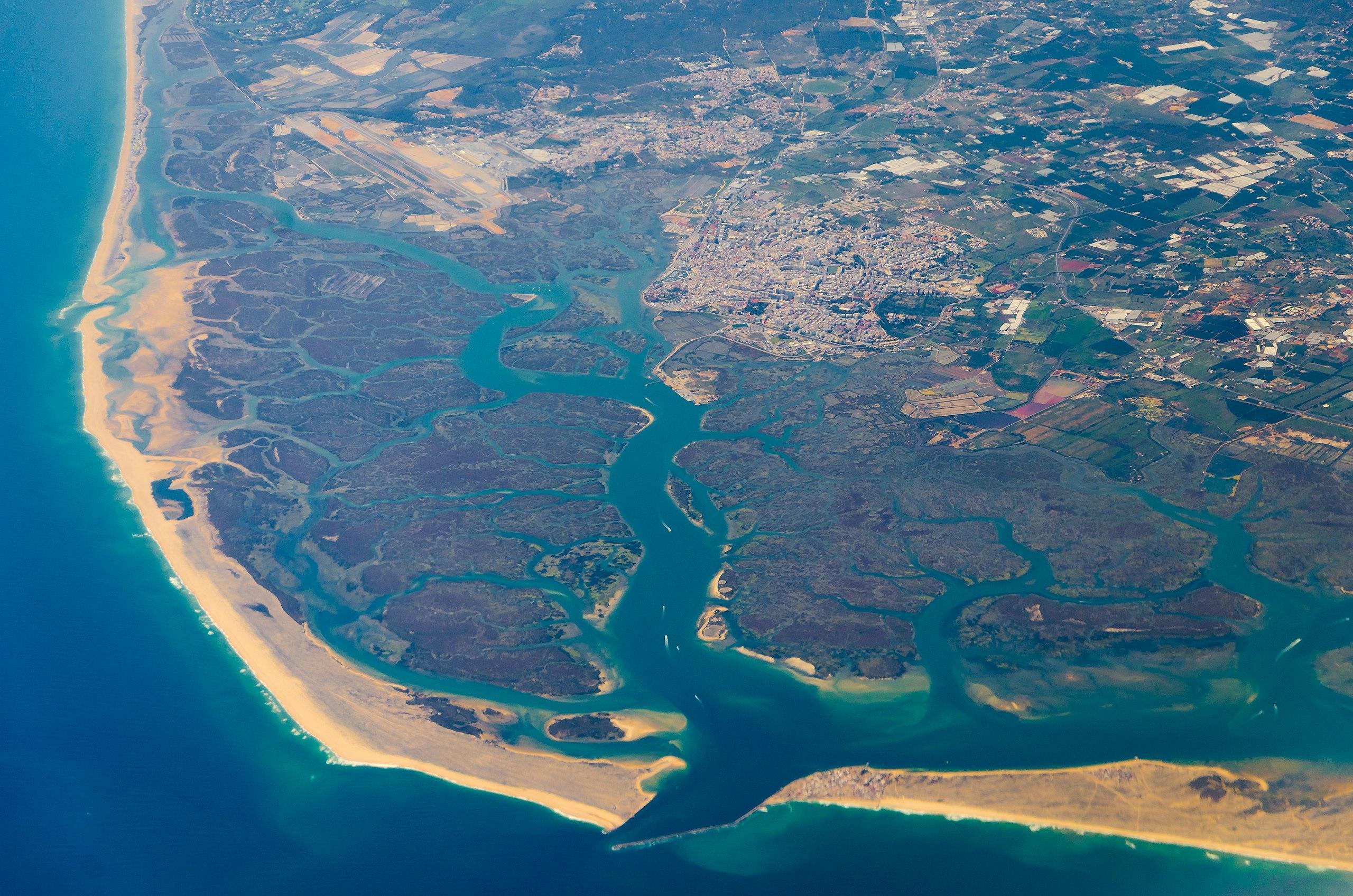 What Are Estuaries Coastal Waters Where Rivers Meet Sea