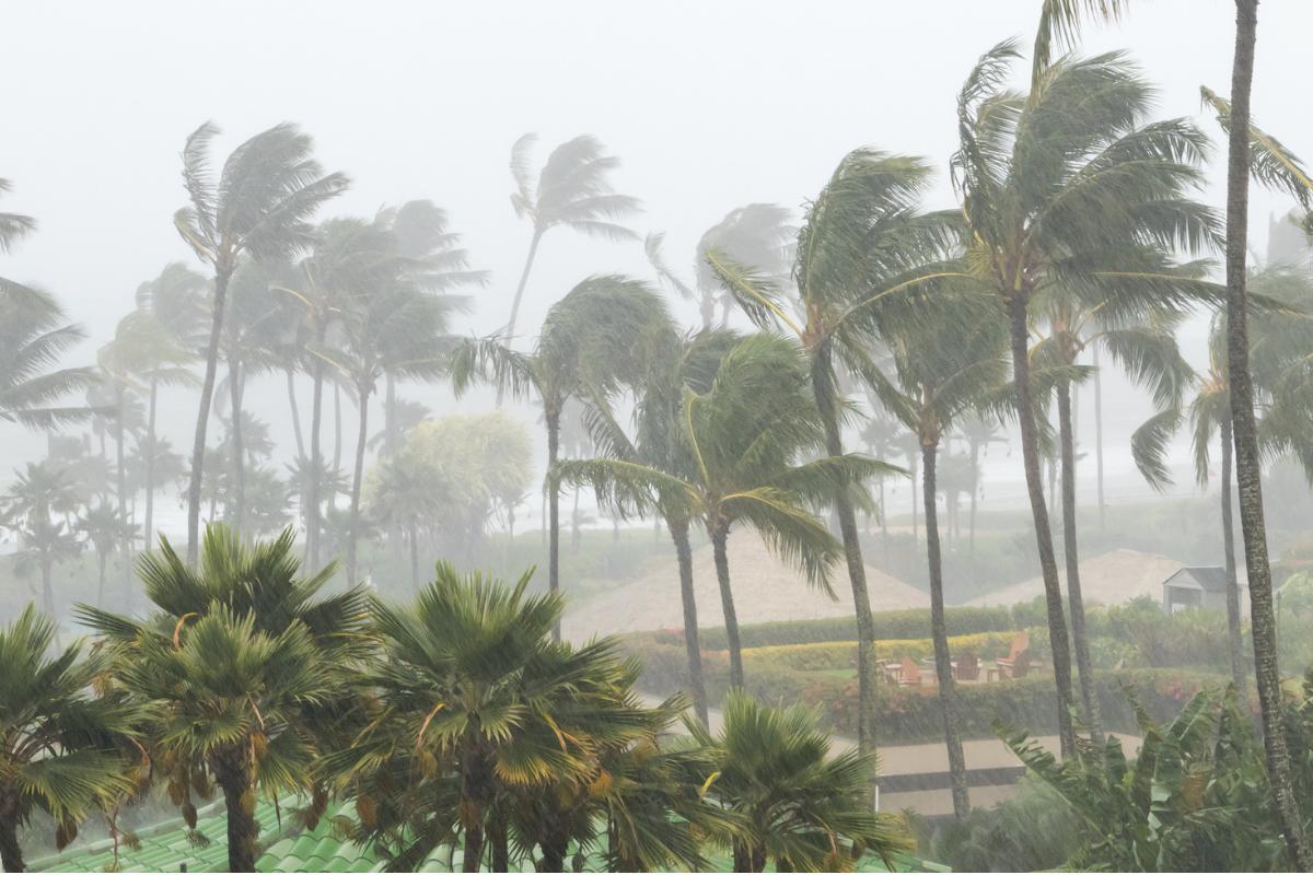 What Is Monsoon Climate?