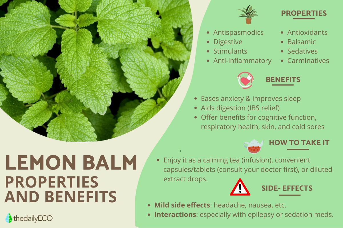 Lemon Balm - Benefits, Uses & Safety Guide