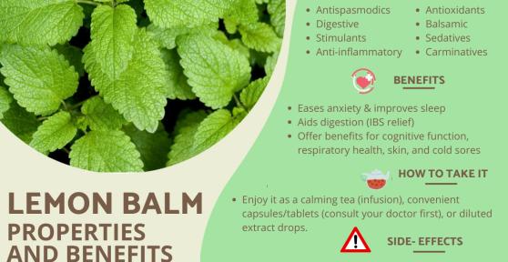 Lemon Balm - Benefits, Uses & Safety Guide
