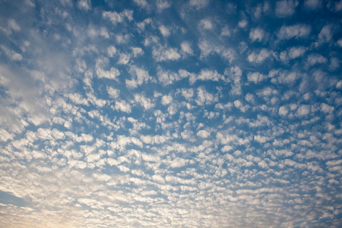 What Are Altocumulus Clouds?