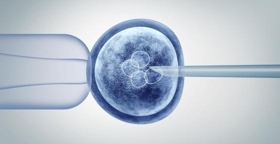 What Are the 3 Stem Cell Types?