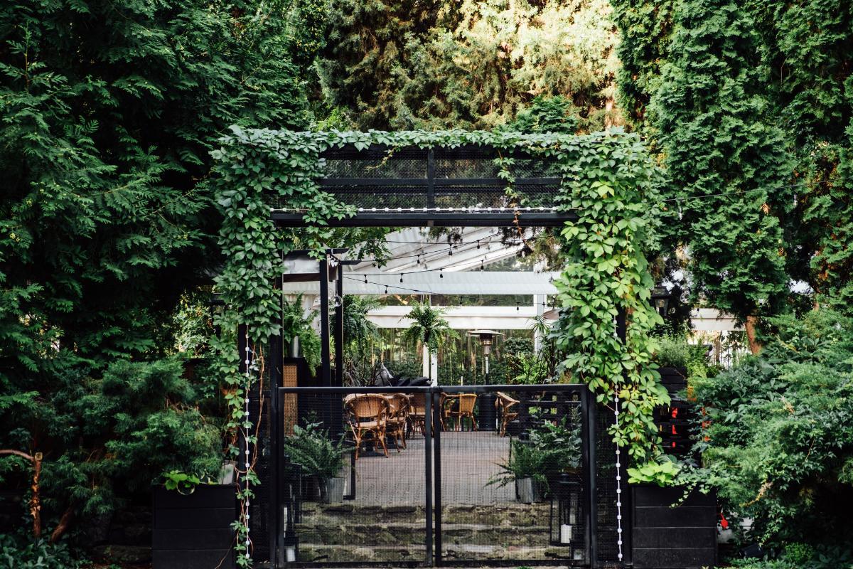 What Is the Biophilia Hypothesis?