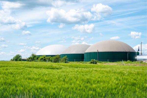 What Is a Biodigester and How Does It Work? - What is a biodigester?