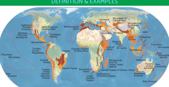 What Is a Biodiversity Hotspot? - Ecological Hotpots