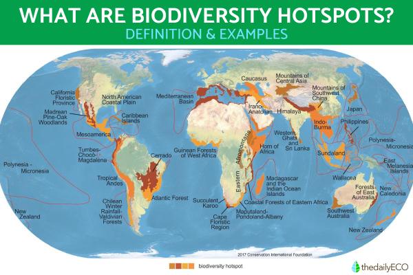 What Is a Biodiversity Hotspot? - Ecological Hotpots