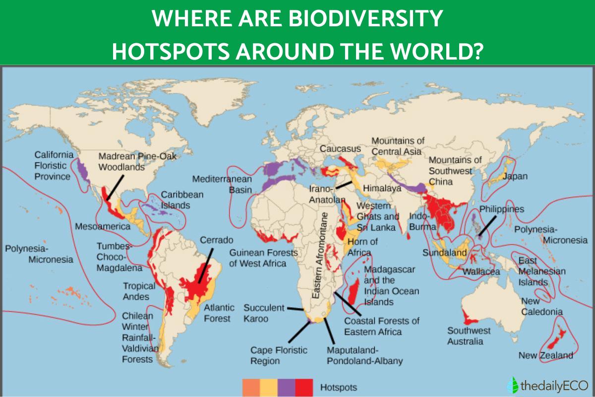 What Is A Biodiversity Hotspot Ecological Hotpots With Examples